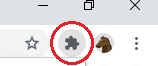 Click the Extensions icon in your browser